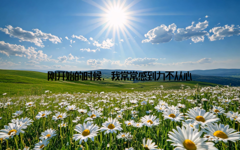 刚开始的时候, 我常常感到力不从心