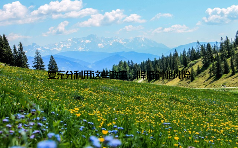 要充分利用这些政策, 降低创业风险