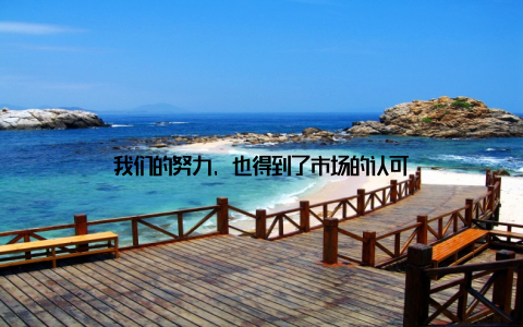 我们的努力, 也得到了市场的认可