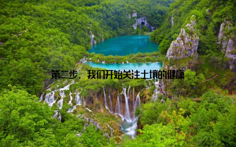 第二步, 我们开始关注土壤的健康