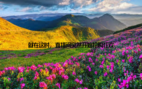 就在这时, 直播间突然开始抢购狂欢