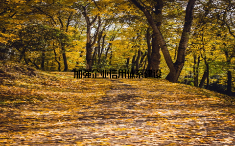 加强企业信用体系建设