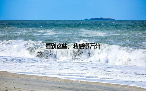 看到这些, 我感慨万分