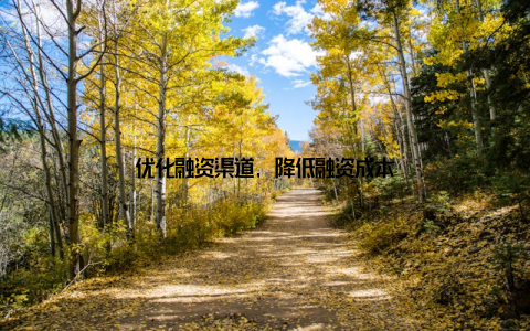 优化融资渠道, 降低融资成本