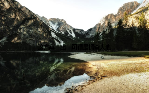 这方案一出, 可谓是振奋人心