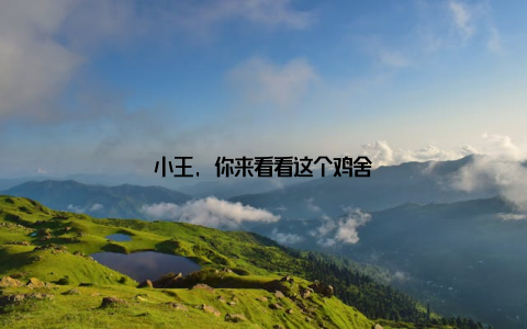 小王, 你来看看这个鸡舍