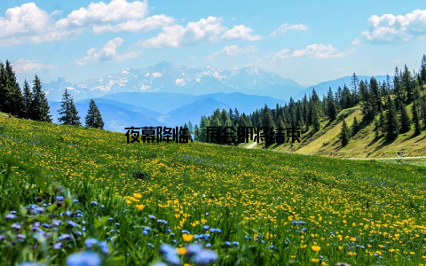 夜幕降临, 展会即将结束