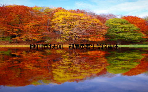 他们默默无闻, 却肩负着生命的重任