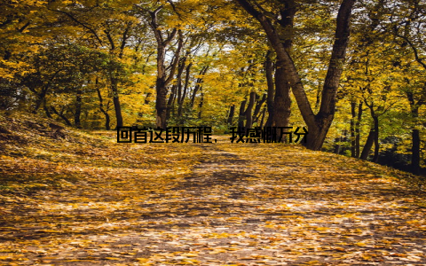 回首这段历程, 我感慨万分