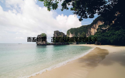 而畜牧网, 正是这场变革的领头羊