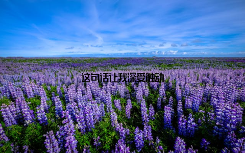 这句话让我深受触动