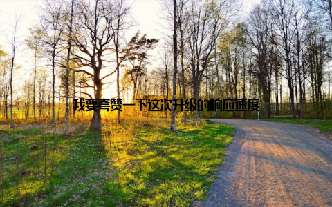 我要夸赞一下这次升级的响应速度