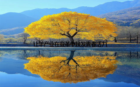 让羊产业在变革中焕发青春活力