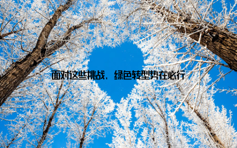 面对这些挑战, 绿色转型势在必行