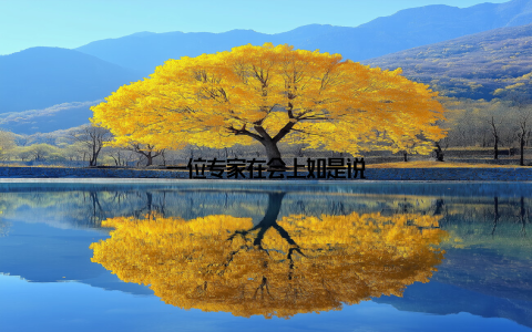 一位专家在会上如是说