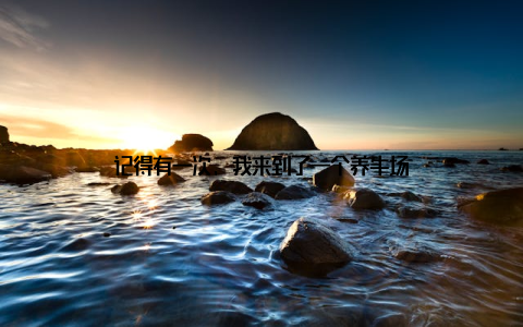 记得有一次, 我来到了一个养牛场