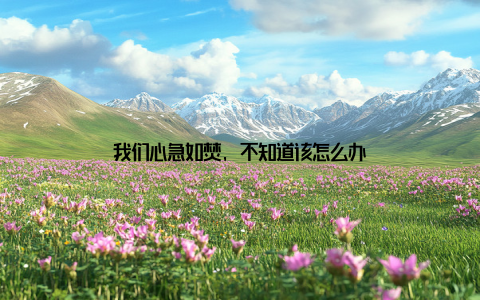 我们心急如焚, 不知道该怎么办