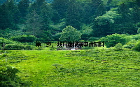 第二步, 我开始搜集申请材料
