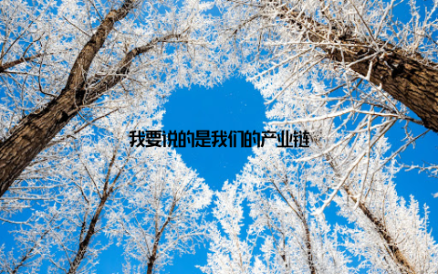 我要说的是我们的产业链