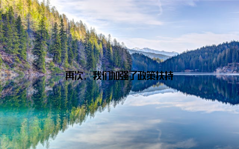 再次, 我们加强了政策扶持