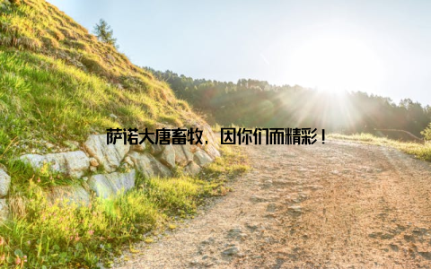 萨诺大唐畜牧, 因你们而精彩!