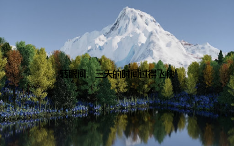 转眼间, 三天的时间过得飞快