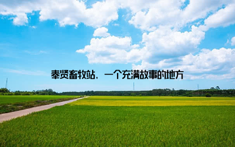 奉贤畜牧站, 一个充满故事的地方