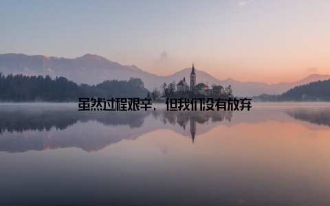 虽然过程艰辛, 但我们没有放弃