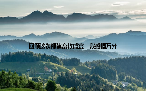 回顾这次福建畜牧盛宴, 我感慨万分