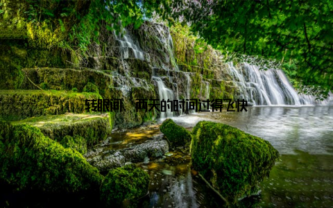 转眼间, 两天的时间过得飞快