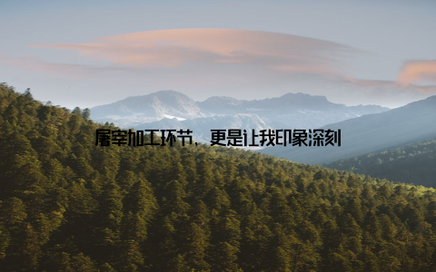 屠宰加工环节, 更是让我印象深刻