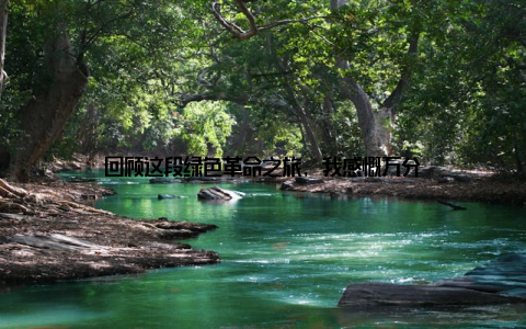 回顾这段绿色革命之旅, 我感慨万分