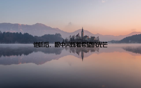 他听后, 眼中闪烁着希望的光芒