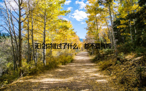 无论你错过了什么, 都不要气馁