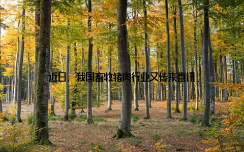 近日, 我国畜牧猪肉行业又传来喜讯