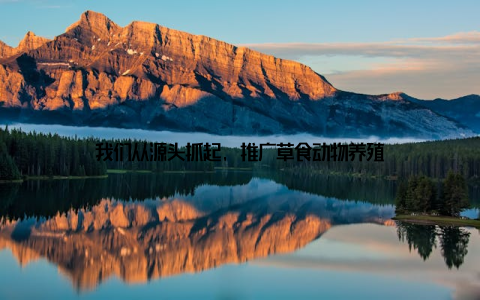 我们从源头抓起, 推广草食动物养殖