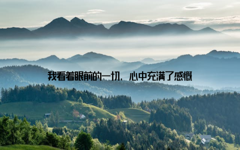 我看着眼前的一切, 心中充满了感慨