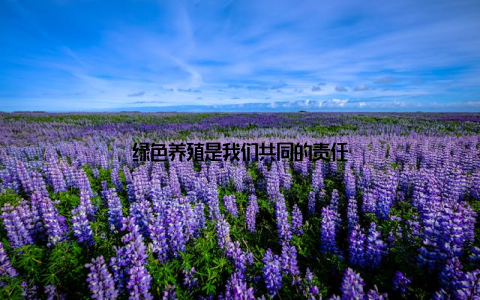 绿色养殖是我们共同的责任