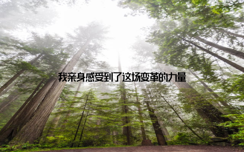 我亲身感受到了这场变革的力量