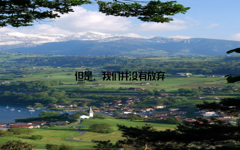 但是, 我们并没有放弃