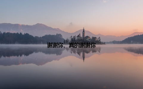 谢谢你, 真的谢谢你