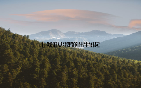 让我们从蛋鸡的出生说起