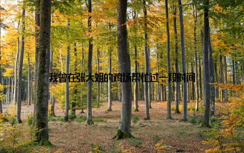 我曾在张大姐的鸡场帮忙过一段时间