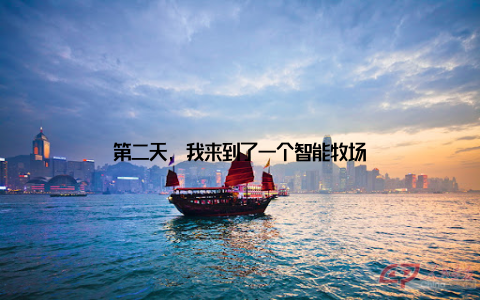 第二天, 我来到了一个智能牧场