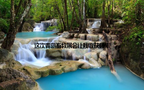 这次青岛畜牧展会让我收获颇丰