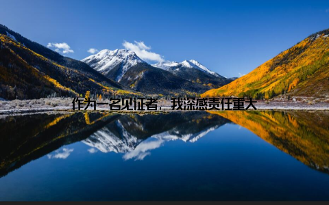 作为一名见证者, 我深感责任重大