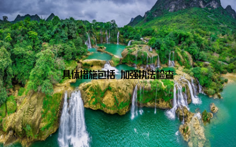 具体措施包括 加强执法检查