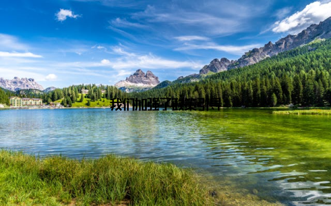 我们加强了政策引导