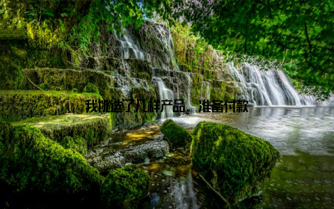 我挑选了几样产品, 准备付款