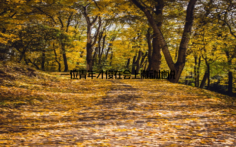 一位青年才俊在会上激动地说